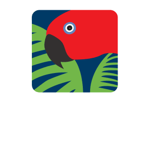 Climate and the rainforest - Rainforest Rescue
