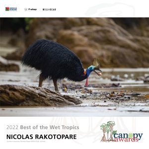 2022 Canopy Awards Winners - Best of the Wet Tropics