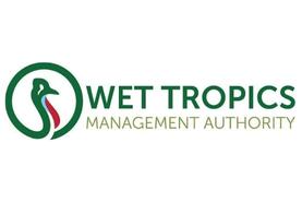 Rainforest structure  Wet Tropics Management Authority