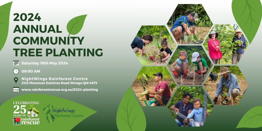 2024 Annual Community Tree Planting - Rainforest Rescue