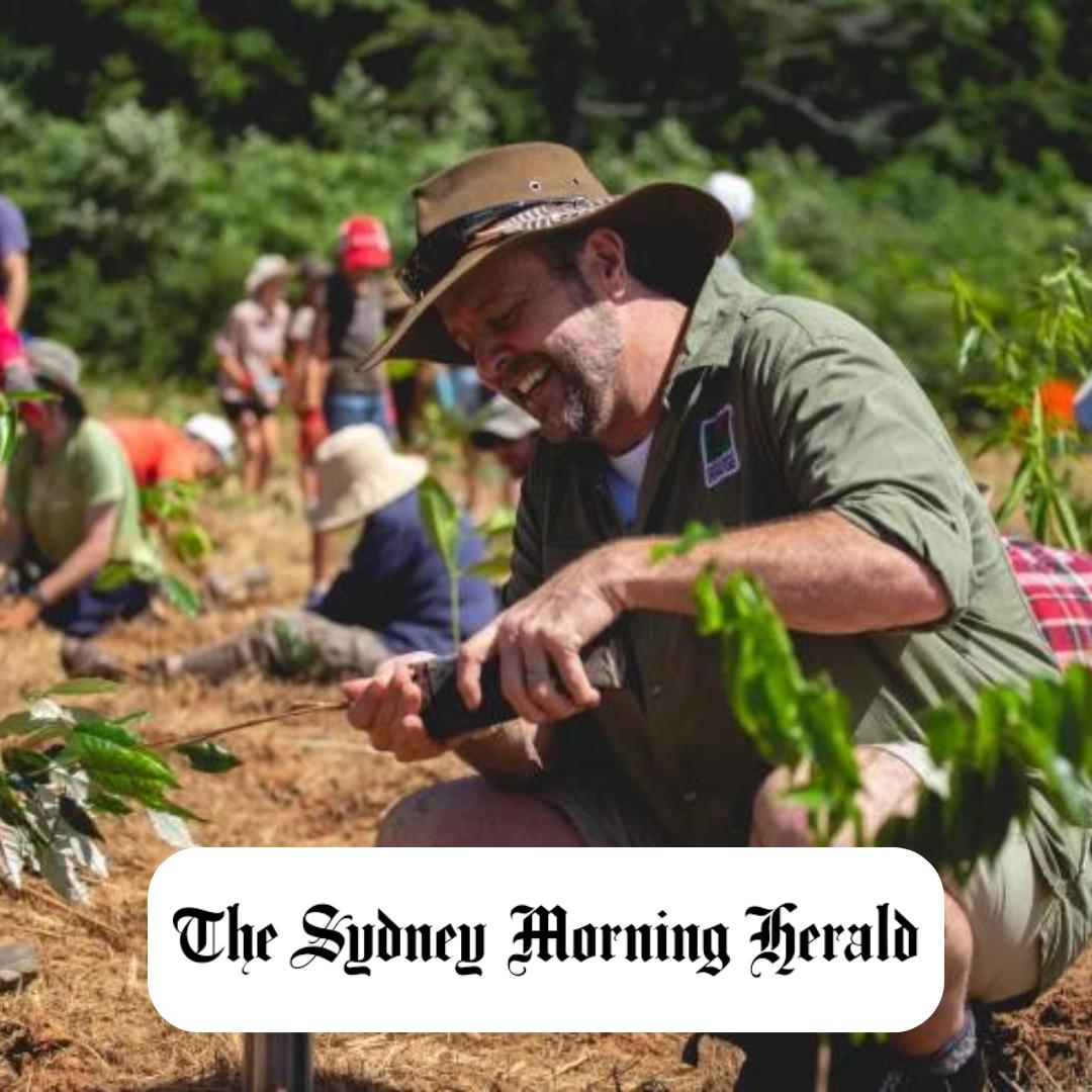 why-the-daintrees-going-to-be-the-only-rainforest-thats-growing-not-shrinking