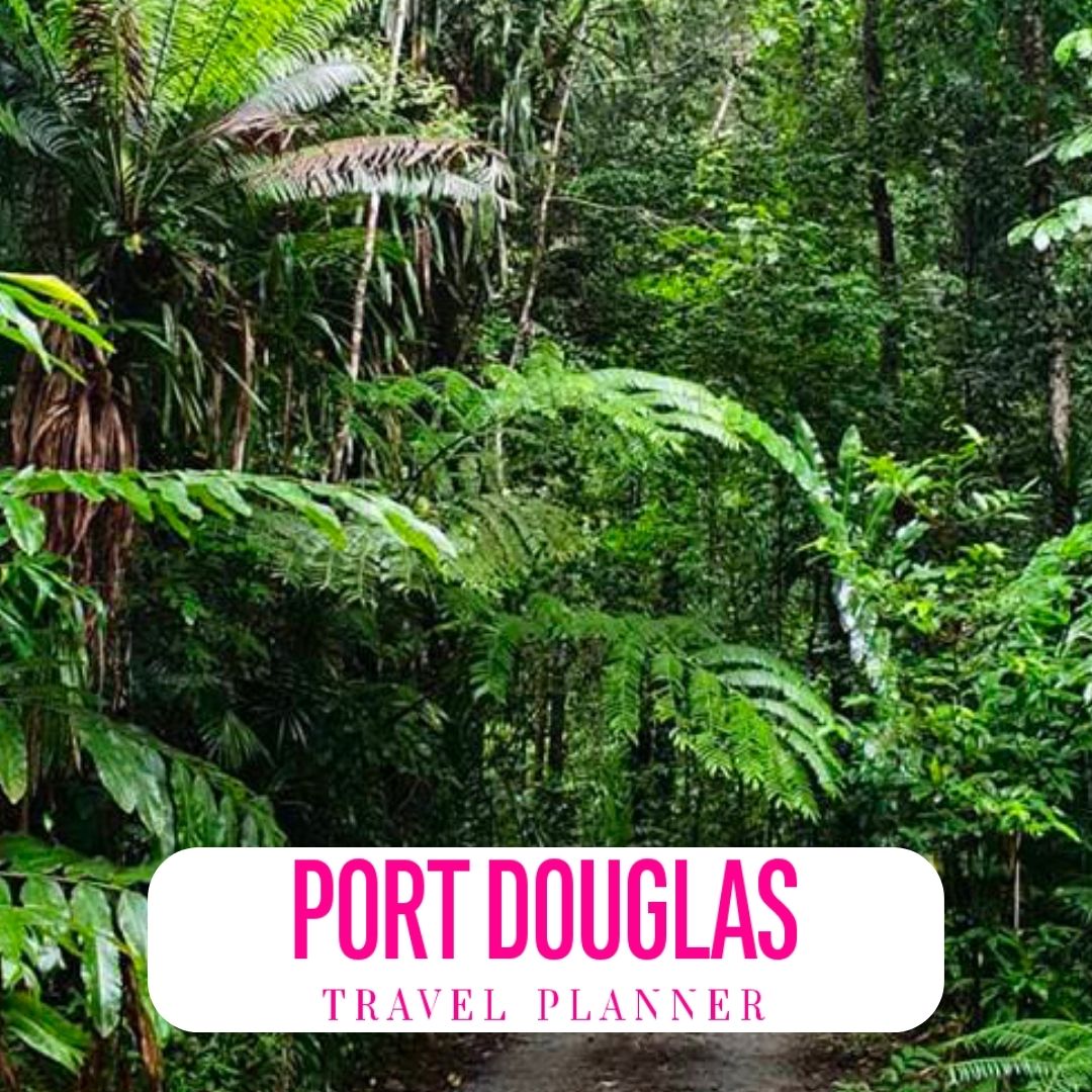 port-douglas-travel-guide-rainforest-rescue-media