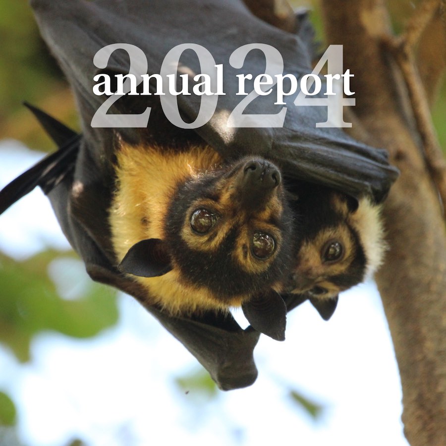 25th image_Annual Report